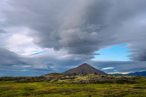 Icelandic landscape with meadow, moss-covered volcanic field and