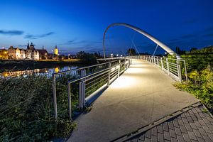 Dessau - Tiergartenbrücke und Altstadtskyline
