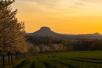 Lilienstein by Sylvio Dittrich