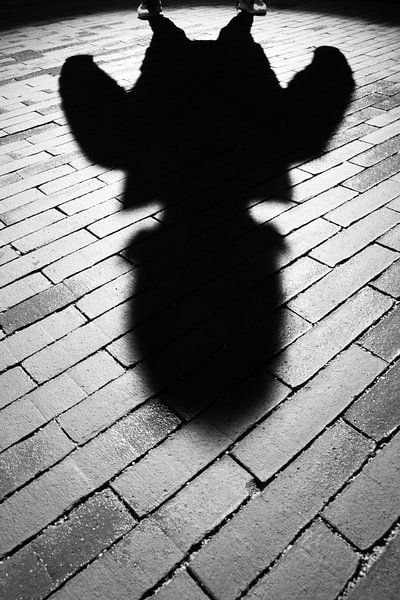 Schaduw jongen van Jim Plaum