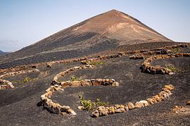 Die Weinregion von Lanzarote | Landschaft | Reisefotografie