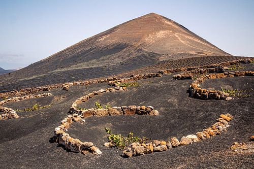 La région viticole de Lanzarote | Paysage | Photographie de voyage