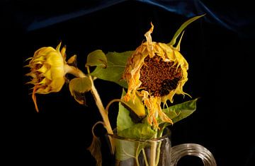 Schilderachtige zonnebloemen