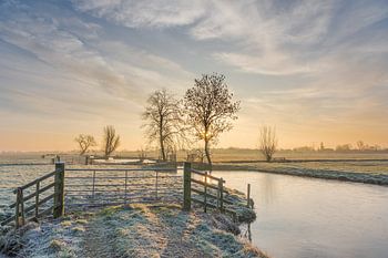 Sunrise in wintery polder landscape