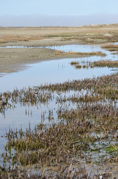 Het eilandTerschelling van Marian Steenbergen