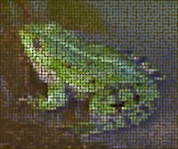 Froschkönig