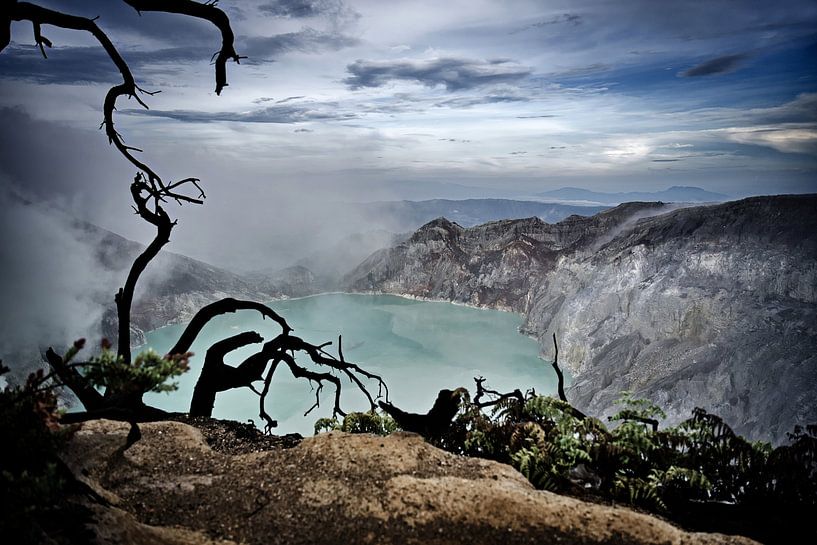 Racines brûlées face au bleu surnaturel du volcan par Frank Photos