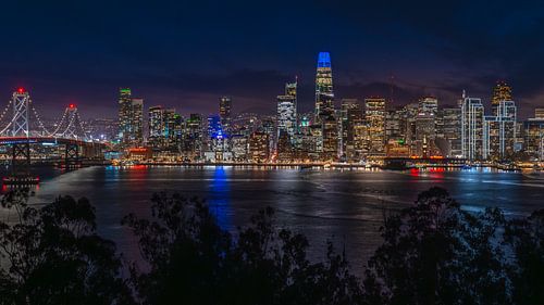 Treasure Island - Bay Bridge - San Francisco Skyline 2025 van Michel Swart