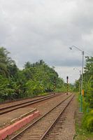 Train platform in the Tropics