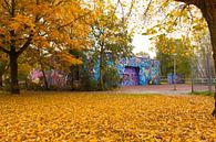 Herfst...Autumn van Brian Morgan thumbnail