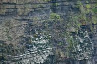 Duizenden vogels op de bergkammen van Frank's Awesome Travels thumbnail