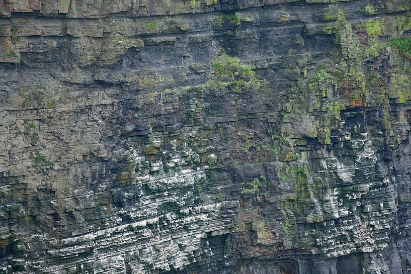 Duizenden vogels op de bergkammen van Frank's Awesome Travels