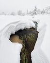 Beek in de sneeuw van Raoul Baart thumbnail
