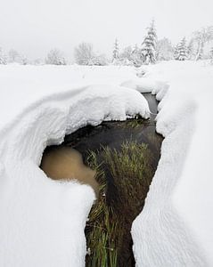 Ruisseau dans la neige sur Raoul Baart