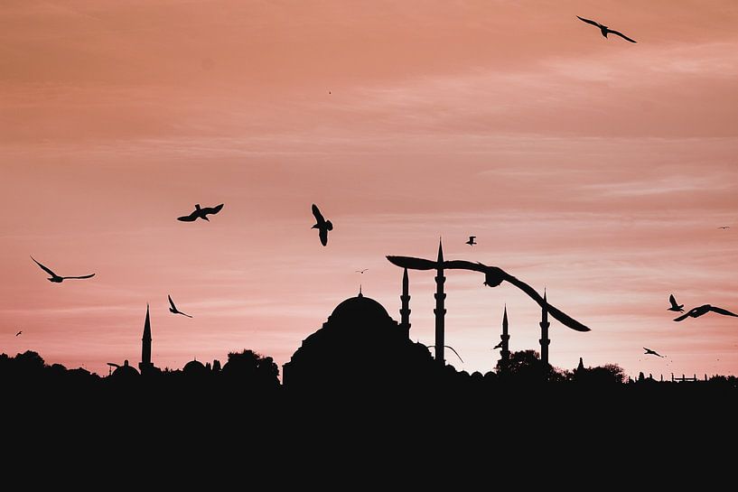 Istanbul par Hello Pompoyo