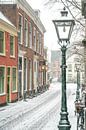 Leiden in de sneeuw von Dirk van Egmond Miniaturansicht