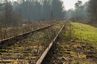 Oude spoorlijn Borkense Baan nabij de Duitse grens in de gemeente Winterswijk von Tonko Oosterink Miniaturansicht