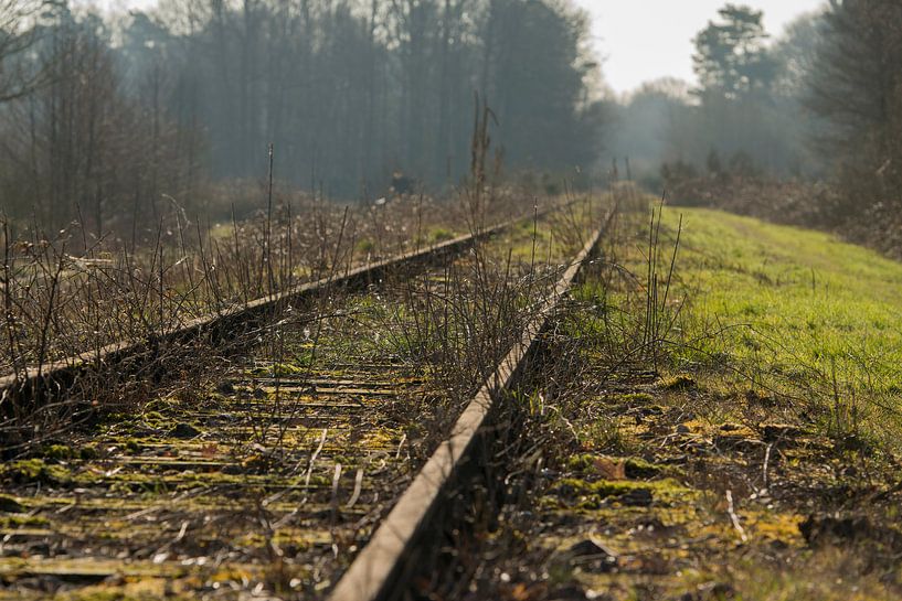 Oude spoorlijn Borkense Baan nabij de Duitse grens in de gemeente Winterswijk par Tonko Oosterink