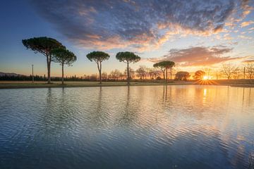 Des pins et un petit étang dans la campagne de la Maremme sur Stefano Orazzini
