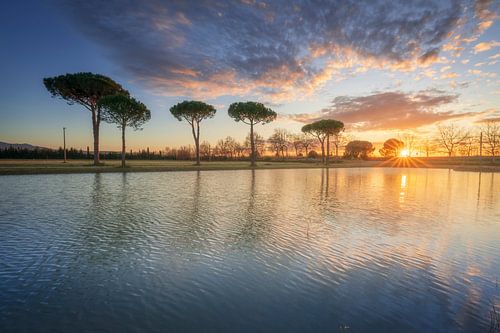 Pinienbäume und ein kleiner Teich in der Landschaft der Maremma von Stefano Orazzini