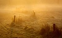 Mist tijdens zonsopkomst