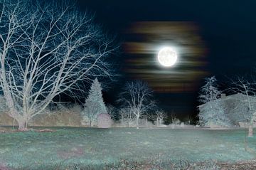 Nachtlandschaft mit Mond von Corinne Welp