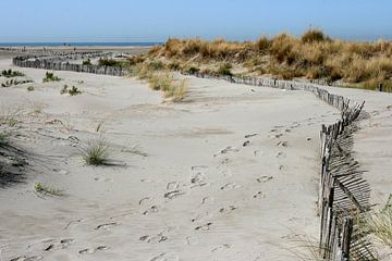 Strand in der Camarque von Antwan Janssen