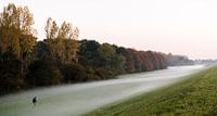 Dauw en aardetinten in herfstige Flevopolder, Nederland, fotoprint van Manja Herrebrugh - Outdoor by Manja thumbnail