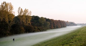 Dauw en aardetinten in herfstige Flevopolder, Nederland, fotoprint