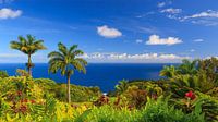 Garten Eden, Maui, Hawaii von Henk Meijer Photography Miniaturansicht