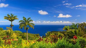 Jardin d'Eden, Maui, Hawaii sur Henk Meijer Photography