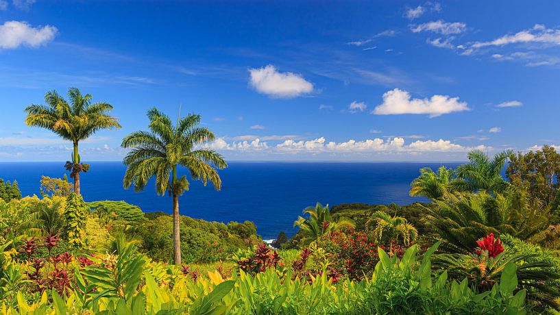 Jardin d'Eden, Maui, Hawaii par Henk Meijer Photography