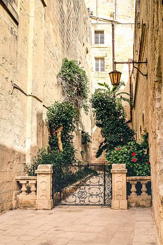 Malerische Straßenszene in Mdina | Reisefotografie