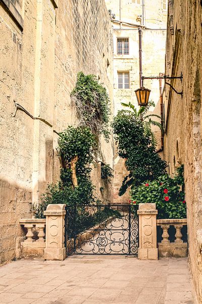 Picturesque street scene in Mdina | Travel Photography by Daan Duvillier | Dsquared Photography