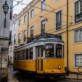 Line 28 by Dirk Rüter