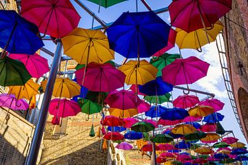 Colored umbrellas by Thomas van Galen