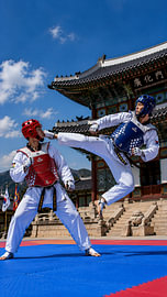 Flying Kick – Taekwondo at Gyeongbokgung Palace