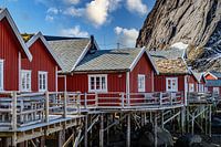 Reine Lofoten