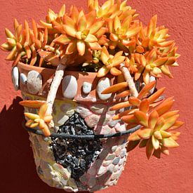 Oranje vetplant, koraal rode muur en pot met mozaiek van My Footprints