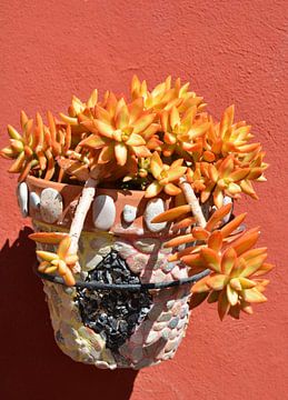 Oranje vetplant, koraal rode muur en pot met mozaiek van My Footprints