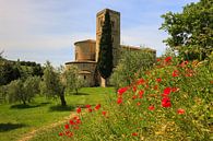 Abtei Sant'Antimo, Toskana, Italien von Henk Meijer Photography Miniaturansicht