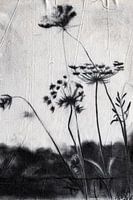 Fluitenkruid natuur (werk bekend van vtwonen)