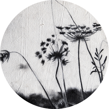 Fluitenkruid natuur (werk bekend van vtwonen) van KUNSTBLOC | Anca Blok