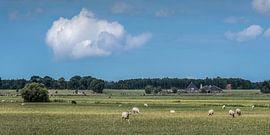 Landscape in Gaasterland in Southwest Friesland by Harrie Muis