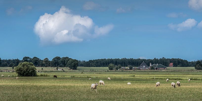 Landschaft im Gaasterland im Südwesten Frieslands von Harrie Muis