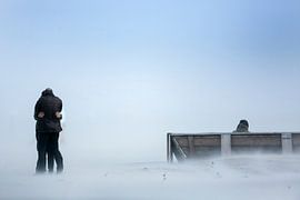 Knuffel in de storm von Roel Dijkstra