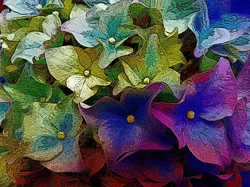 Rainbow Riot van Dorothy Berry-Lound