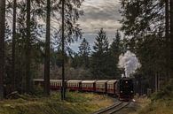 Harzer Schmalspurbahn 99-7245 van Marcel Timmer thumbnail