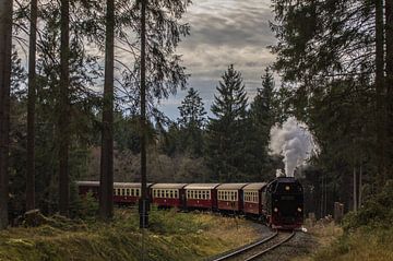Harzer Schmalspurbahn 99-7245 by Marcel Timmer