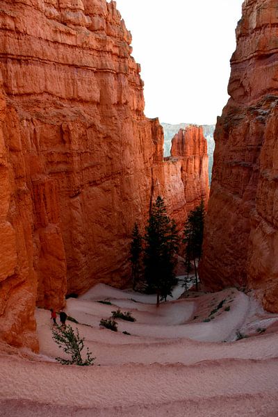 Parc national Bryce Canon par Wouter Krom
